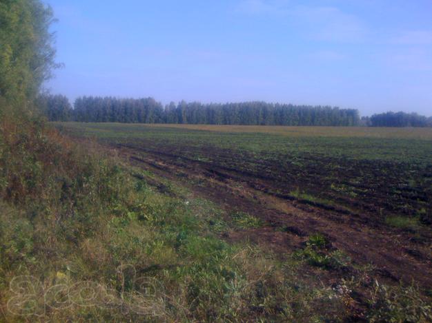 Продам земли сельхозназначения